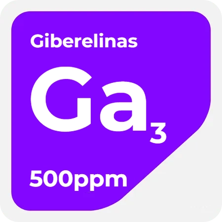Giberelinas Tabla Periódica Hormomax PNG (1)